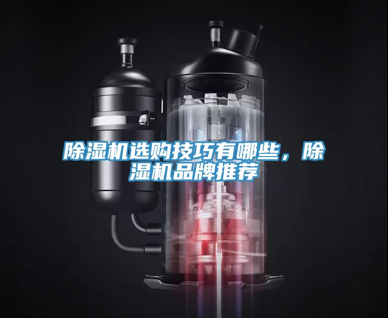 除濕機(jī)選購技巧有哪些，除濕機(jī)品牌推薦