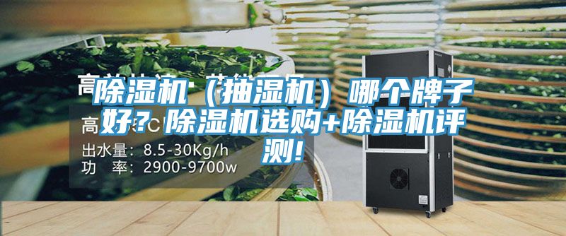 除濕機(jī)（抽濕機(jī)）哪個(gè)牌子好？除濕機(jī)選購+除濕機(jī)評(píng)測(cè)!