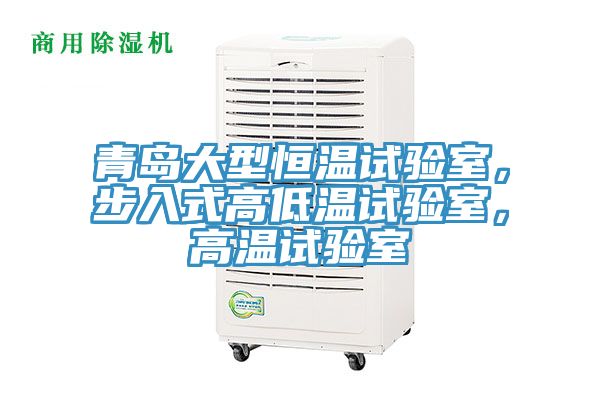 青島大型恒溫試驗(yàn)室，步入式高低溫試驗(yàn)室，高溫試驗(yàn)室