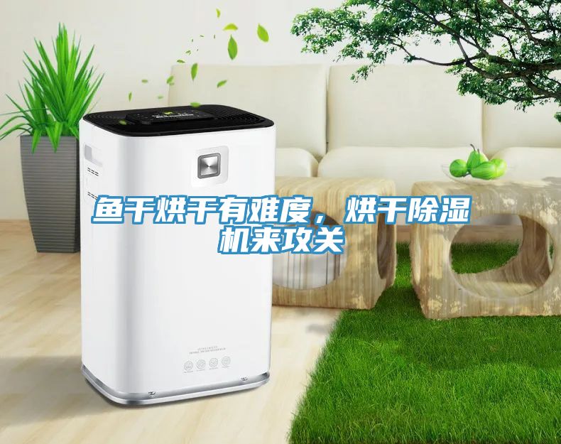 魚干烘干有難度，烘干除濕機來攻關