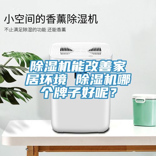 除濕機(jī)能改善家居環(huán)境 除濕機(jī)哪個(gè)牌子好呢？