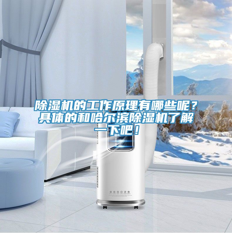 除濕機(jī)的工作原理有哪些呢？具體的和哈爾濱除濕機(jī)了解一下吧！