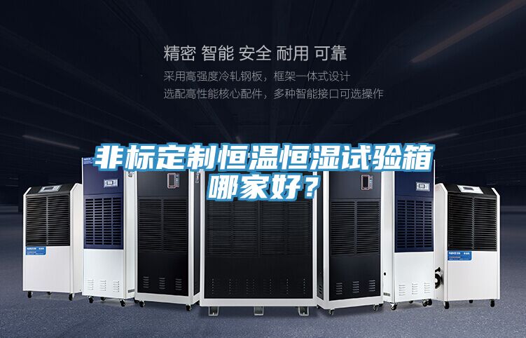 非標(biāo)定制恒溫恒濕試驗箱哪家好？