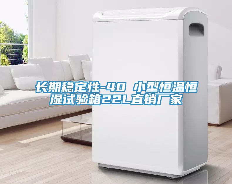 長(zhǎng)期穩(wěn)定性-40℃小型恒溫恒濕試驗(yàn)箱22L直銷廠家
