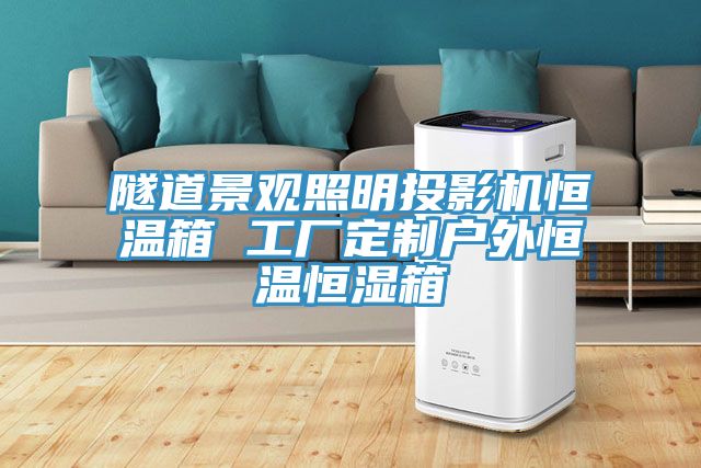 隧道景觀照明投影機(jī)恒溫箱 工廠定制戶(hù)外恒溫恒濕箱