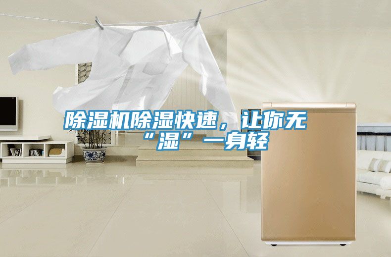 除濕機(jī)除濕快速，讓你無“濕”一身輕