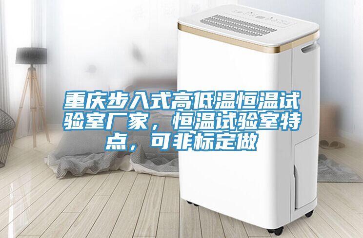 重慶步入式高低溫恒溫試驗(yàn)室廠家，恒溫試驗(yàn)室特點(diǎn)，可非標(biāo)定做