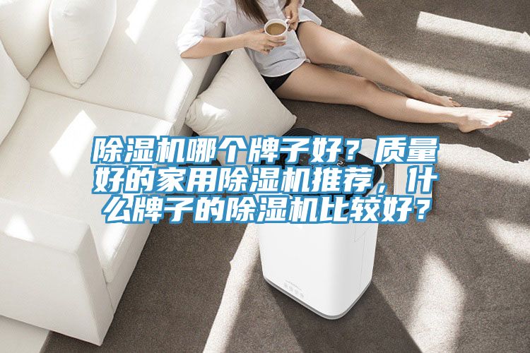 除濕機哪個牌子好？質(zhì)量好的家用除濕機推薦，什么牌子的除濕機比較好？