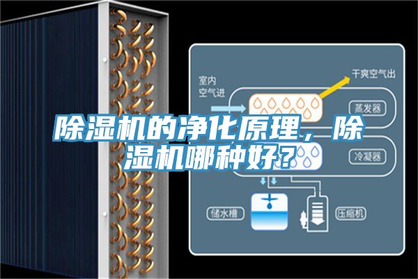 除濕機(jī)的凈化原理，除濕機(jī)哪種好？