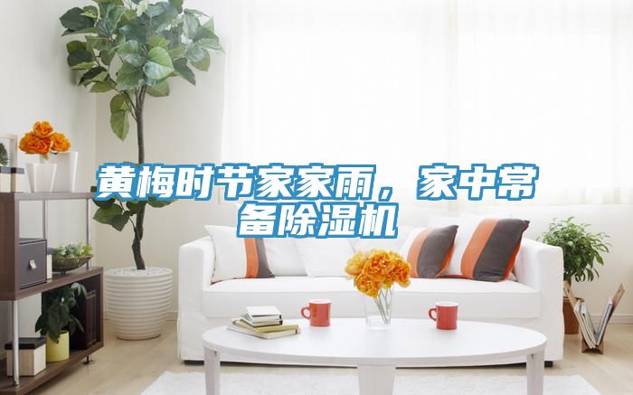 黃梅時(shí)節(jié)家家雨，家中常備除濕機(jī)