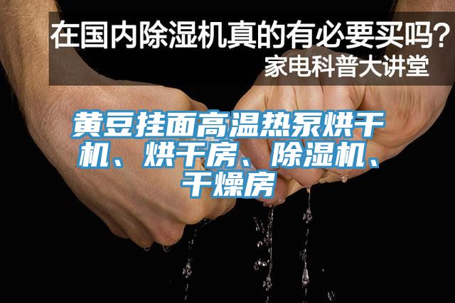 黃豆掛面高溫?zé)岜煤娓蓹C(jī)、烘干房、除濕機(jī)、干燥房