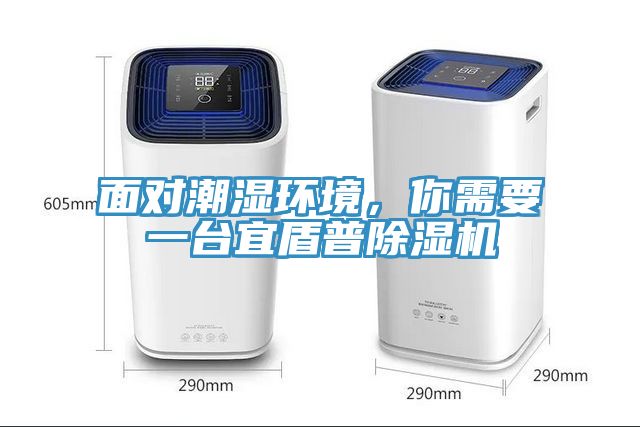 面對(duì)潮濕環(huán)境，你需要一臺(tái)宜盾普除濕機(jī)