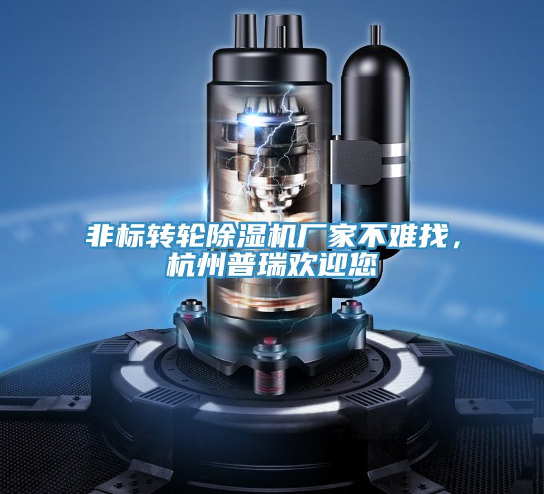 非標(biāo)轉(zhuǎn)輪除濕機(jī)廠家不難找，杭州普瑞歡迎您