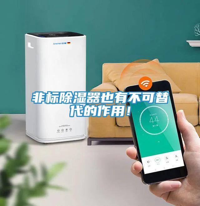 非標(biāo)除濕器也有不可替代的作用！