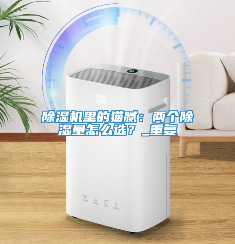 除濕機里的貓膩：兩個除濕量怎么選？_重復