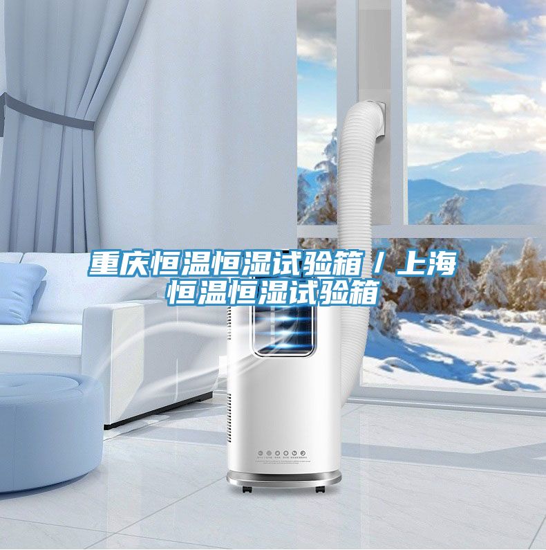 重慶恒溫恒濕試驗(yàn)箱／上海恒溫恒濕試驗(yàn)箱