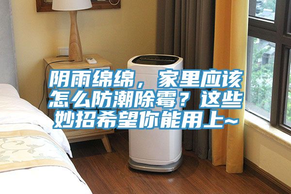 陰雨綿綿，家里應(yīng)該怎么防潮除霉？這些妙招希望你能用上~