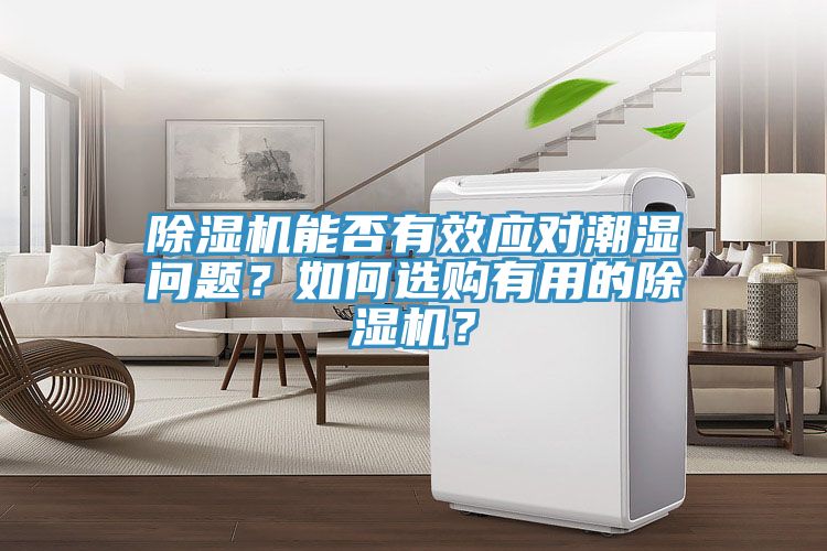 除濕機(jī)能否有效應(yīng)對(duì)潮濕問題？如何選購有用的除濕機(jī)？