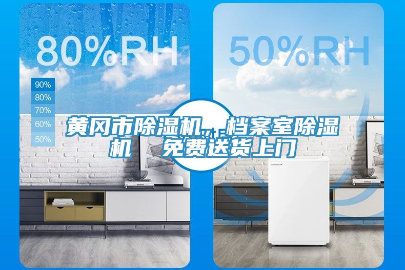 黃岡市除濕機(jī)，檔案室除濕機(jī)  免費(fèi)送貨上門