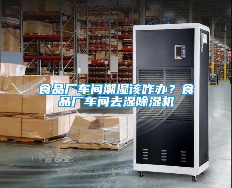 食品廠車間潮濕該咋辦？食品廠車間去濕除濕機(jī)