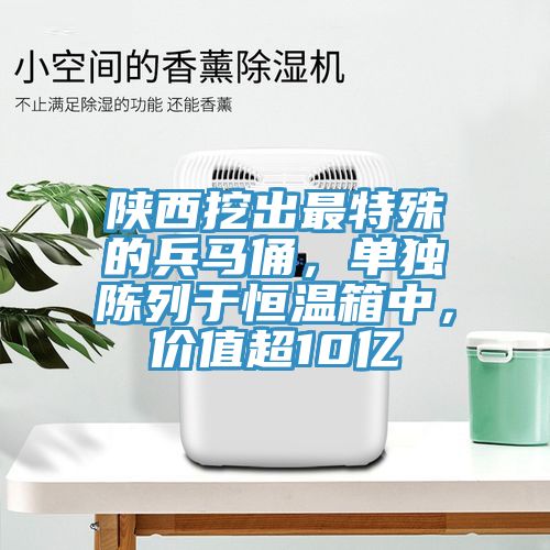 陜西挖出最特殊的兵馬俑，單獨(dú)陳列于恒溫箱中，價(jià)值超10億