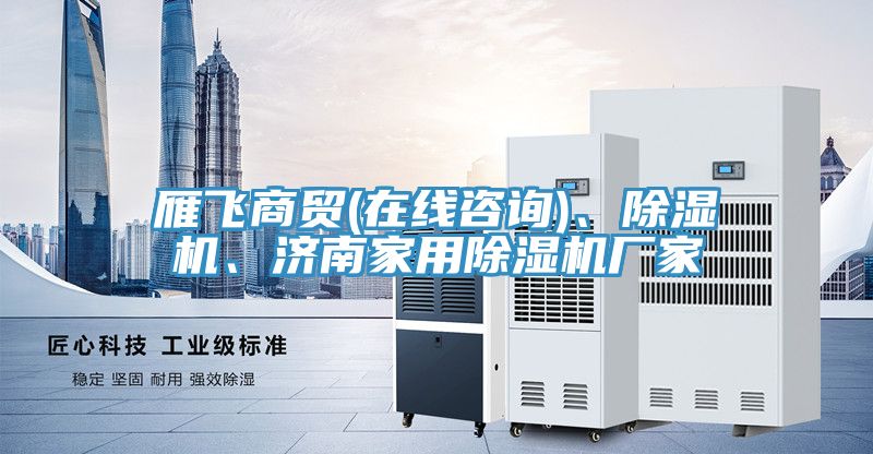 雁飛商貿(mào)(在線咨詢)、除濕機(jī)、濟(jì)南家用除濕機(jī)廠家