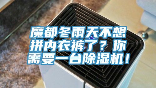 魔都冬雨天不想拼內衣褲了？你需要一臺除濕機！