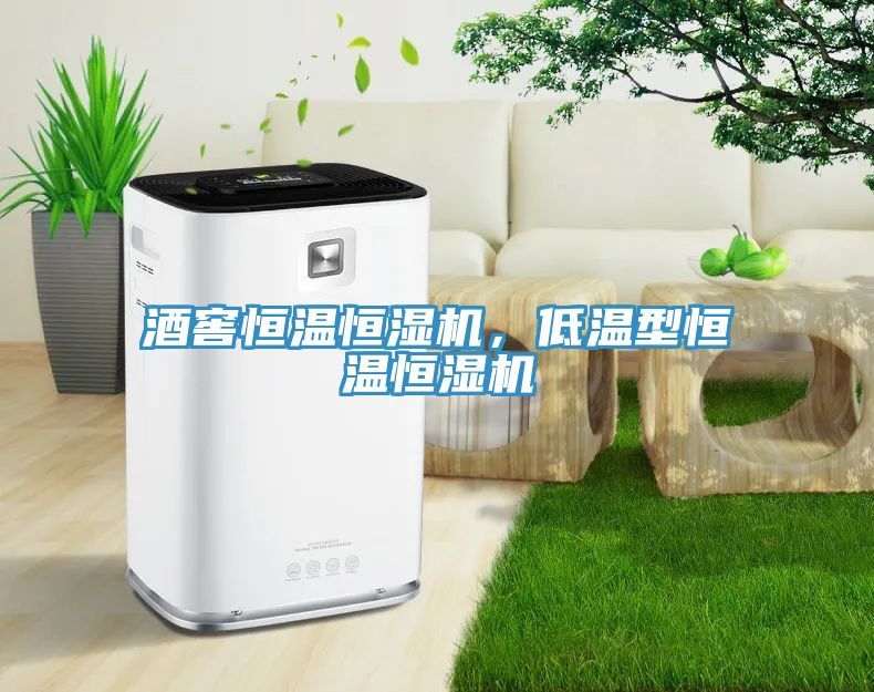 酒窖恒溫恒濕機(jī)，低溫型恒溫恒濕機(jī)