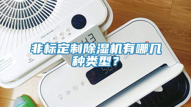 非標(biāo)定制除濕機(jī)有哪幾種類型？