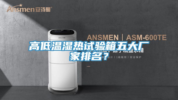 高低溫濕熱試驗箱五大廠家排名？