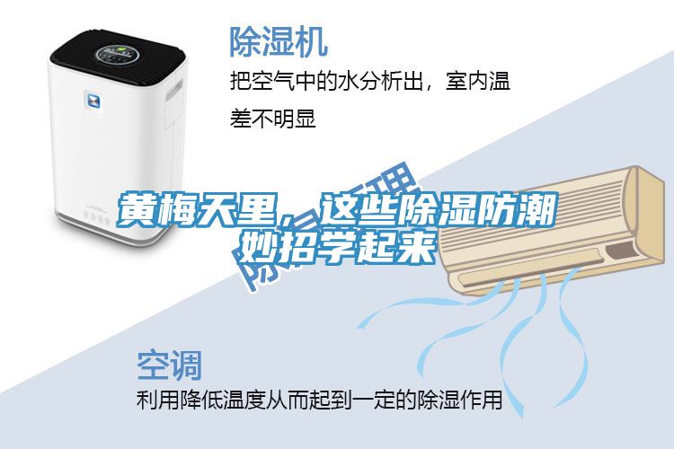 黃梅天里，這些除濕防潮妙招學(xué)起來(lái)