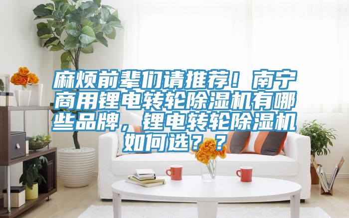 麻煩前輩們請推薦！南寧商用鋰電轉(zhuǎn)輪除濕機(jī)有哪些品牌，鋰電轉(zhuǎn)輪除濕機(jī)如何選？？