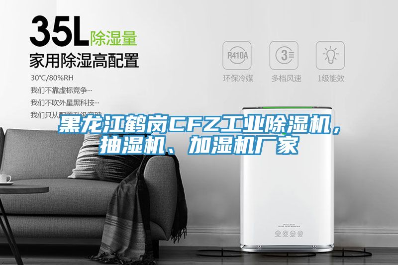 黑龍江鶴崗CFZ工業(yè)除濕機，抽濕機、加濕機廠家