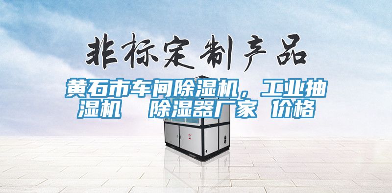 黃石市車間除濕機，工業(yè)抽濕機  除濕器廠家 價格