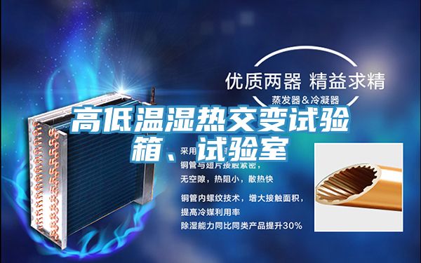 高低溫濕熱交變?cè)囼?yàn)箱、試驗(yàn)室
