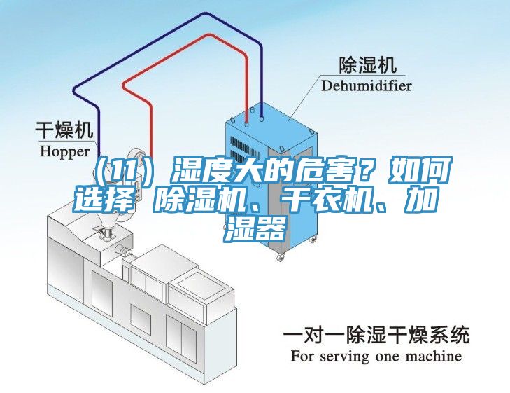 （11）濕度大的危害？如何選擇 除濕機(jī)、干衣機(jī)、加濕器