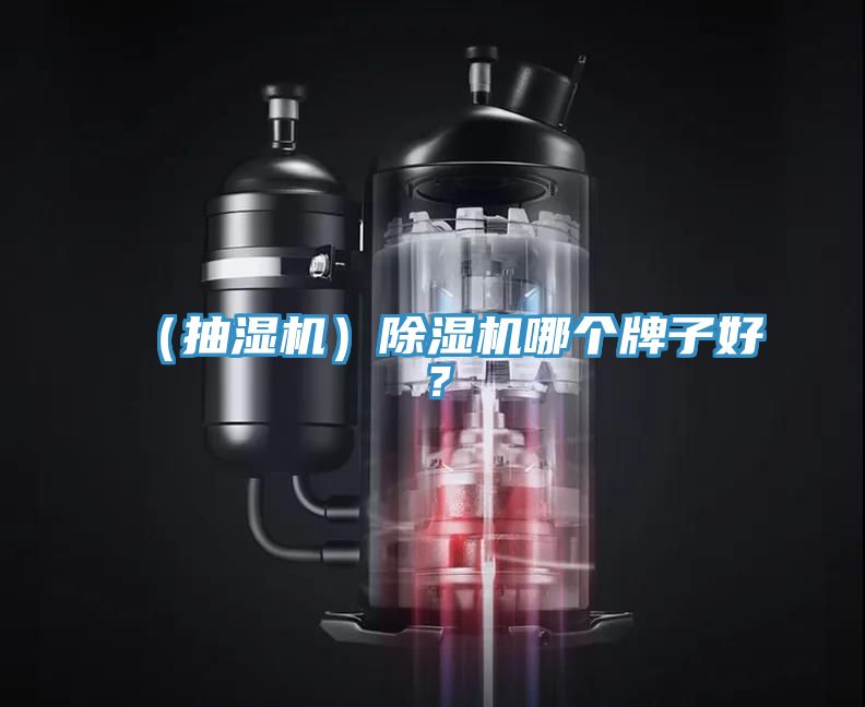 （抽濕機(jī)）除濕機(jī)哪個(gè)牌子好？