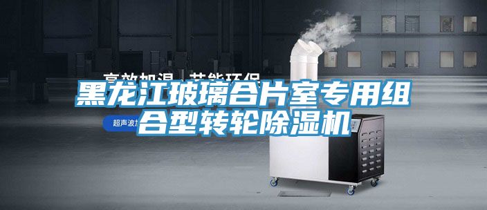 黑龍江玻璃合片室專(zhuān)用組合型轉(zhuǎn)輪除濕機(jī)