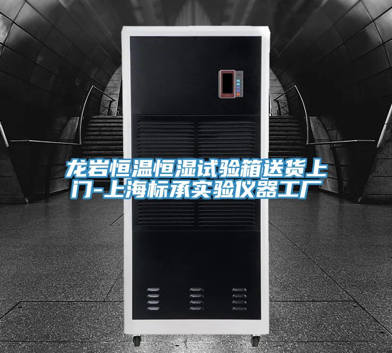 龍巖恒溫恒濕試驗箱送貨上門-上海標(biāo)承實(shí)驗儀器工廠