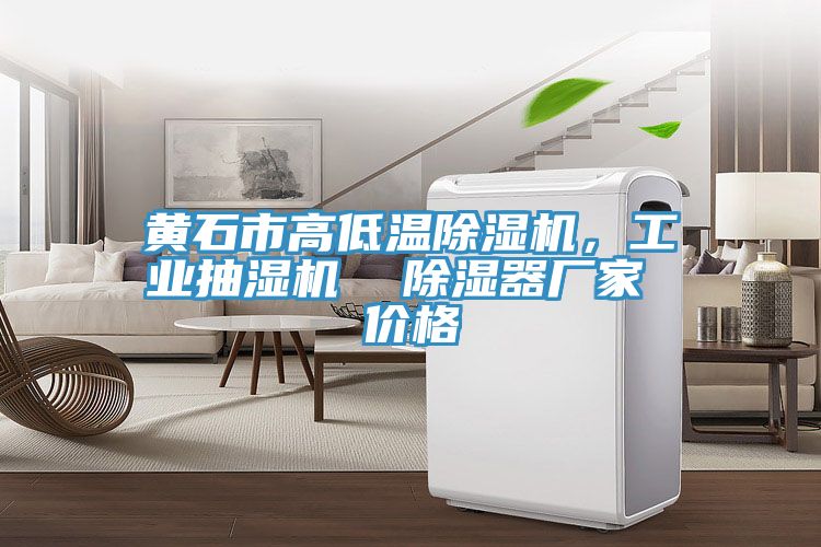黃石市高低溫除濕機，工業(yè)抽濕機  除濕器廠家 價格