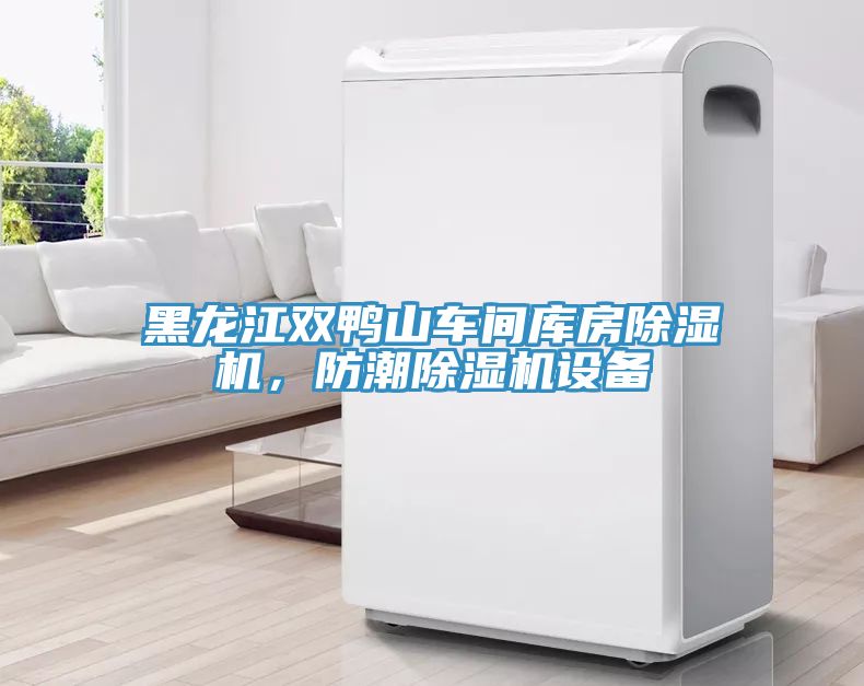 黑龍江雙鴨山車間庫房除濕機，防潮除濕機設(shè)備