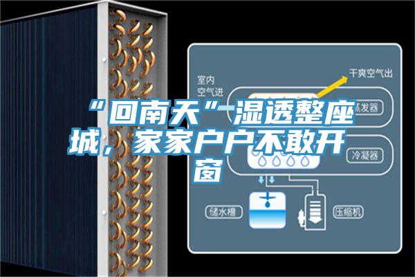 “回南天”濕透整座城，家家戶戶不敢開(kāi)窗
