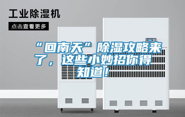 “回南天”除濕攻略來(lái)了，這些小妙招你得知道！