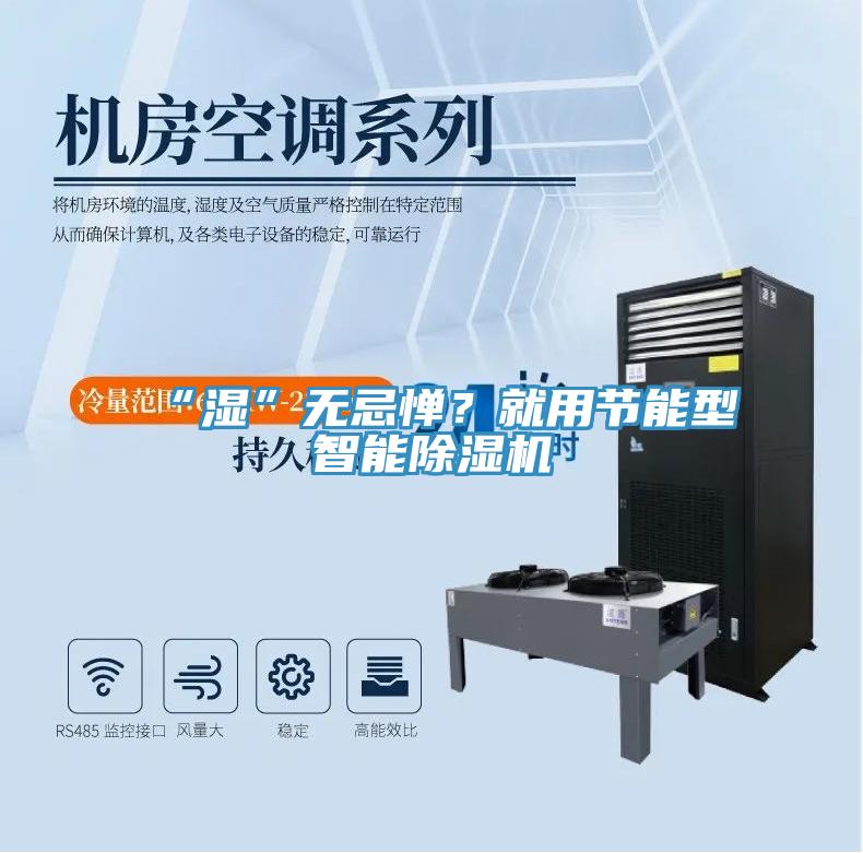 “濕”無忌憚？就用節(jié)能型智能除濕機(jī)