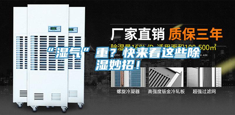 “濕氣”重？快來看這些除濕妙招！
