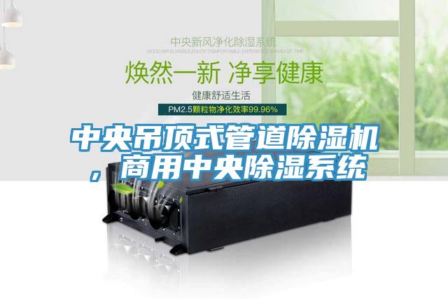 中央吊頂式管道除濕機(jī)，商用中央除濕系統(tǒng)