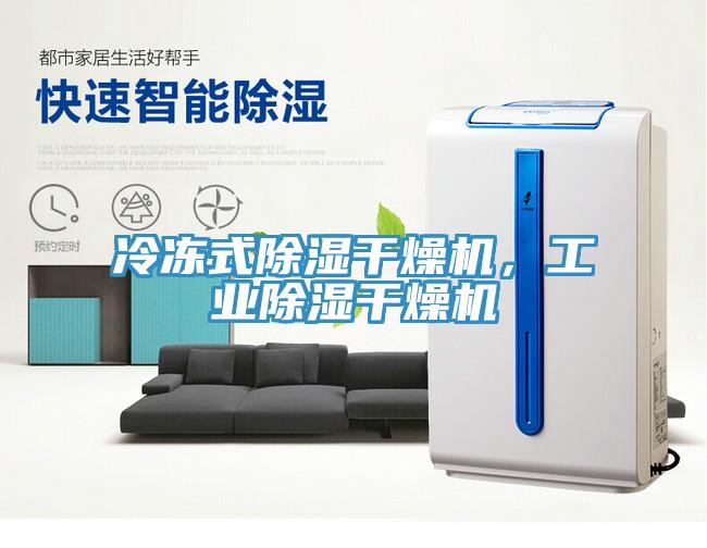 冷凍式除濕干燥機(jī)，工業(yè)除濕干燥機(jī)