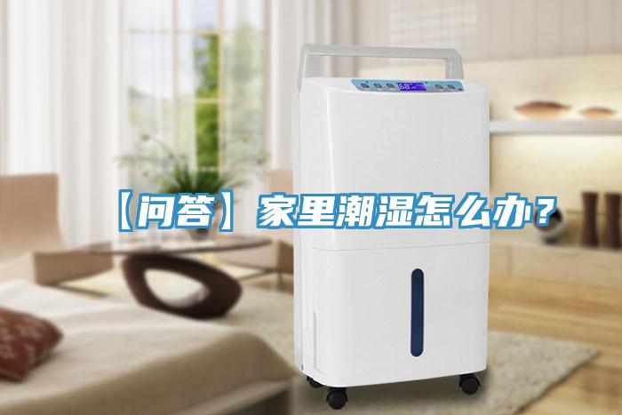 【問答】家里潮濕怎么辦？