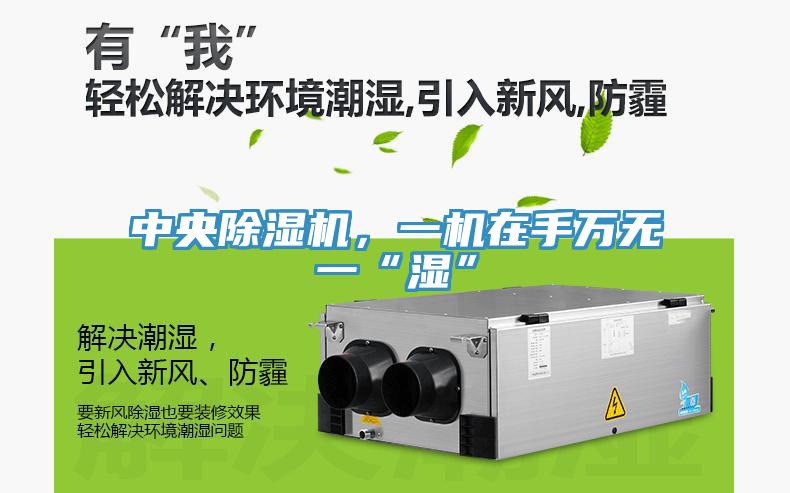中央除濕機(jī)，一機(jī)在手萬無一“濕”