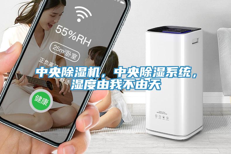 中央除濕機(jī)，中央除濕系統(tǒng)，濕度由我不由天